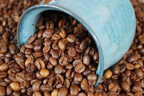 blue cup on aromatic coffee beans