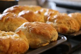 just baked buns on pan