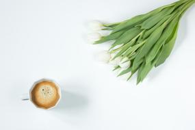 Coffee and white Flowers