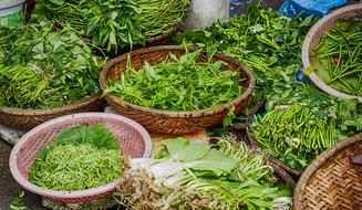 green herbs in wicker baskets