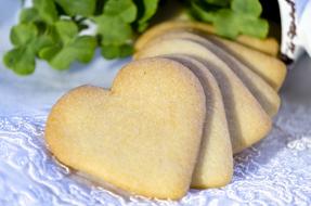 Vanilla Biscuit Cookies