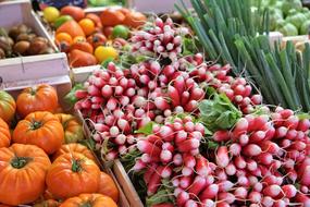 Radishes Vegetables market