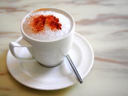 cappuccino with cinnamon in a white cup