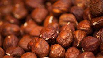 brown Hazel Nuts close-up on blurred background