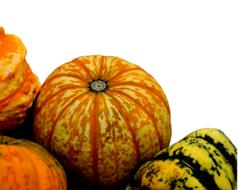 photo of striped pumpkins on a white background