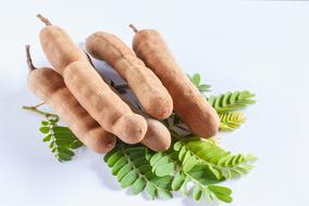 Beautiful, brown tamarind, on the green leaves, on the white surface, in light