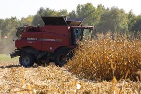 Combine Harvester on Cornfield Harvest