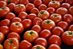 Farm Market Tomatoes