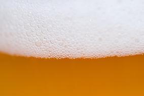 Macro photo of the orange beer with white foam