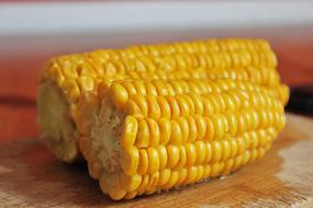 yellow Corn Close Up