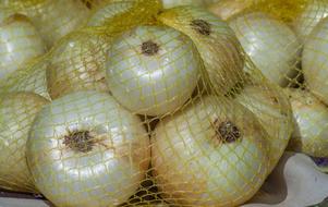 white Onions Net Vegetable