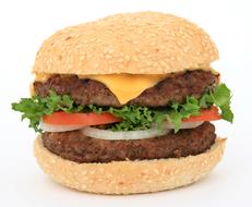 Appetite Beef Big burger