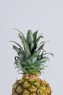 Pineapple Nature Desktop yellow