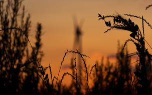Sunset Pinwheel