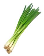 green Scallions Ramp