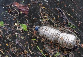 Bottle plastic old