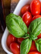 Tomatoes and basil Vegetables