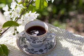 cup of coffee in the spring garden