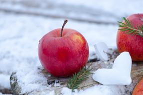 red apples in the snow as a still life