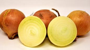 fresh Onions nutrition
