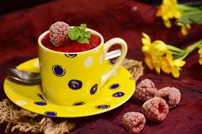 sorbet with raspberries in a cup