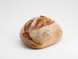 photo of fresh delicious bread on white background