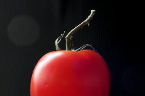 Tomato Vegetables black background