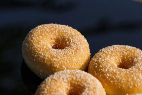 Donut Baked Goods Sweet shugar