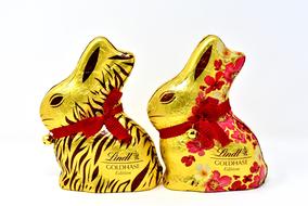 two chocolate hares in gold wrapper