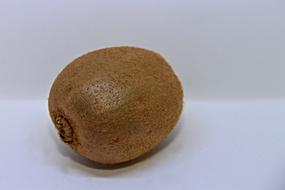 Kiwi Actinidia Delicata