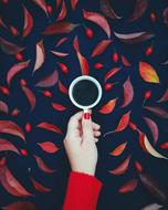 Autumn Leaves and hand with a cup of black coffee