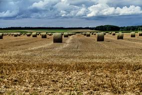 Straw Bales Field and sky