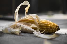 closeup view of Corn On The Cob Food