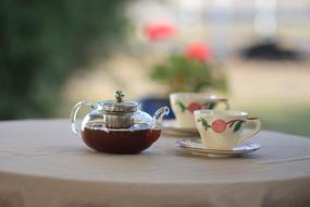 Tea Cup Hot table