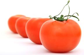 Tomatoes Fresh Organic red