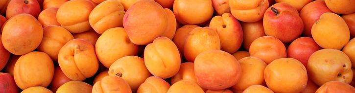 photo of ripe peaches on the wallpaper