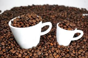 Coffee beans Espresso cup