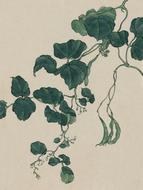 vintage watercolour green leaves decoration