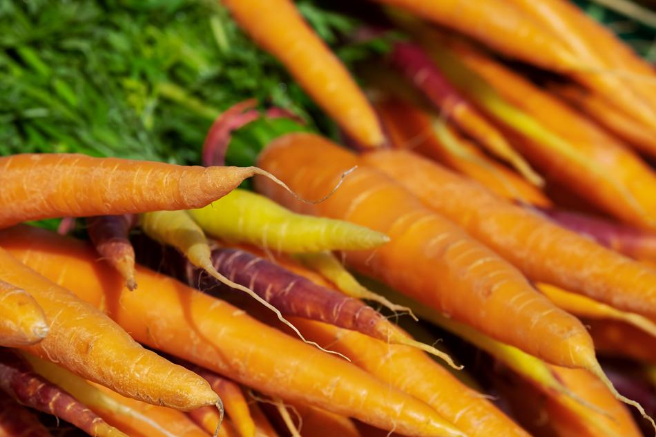 orange farm carrots in the market