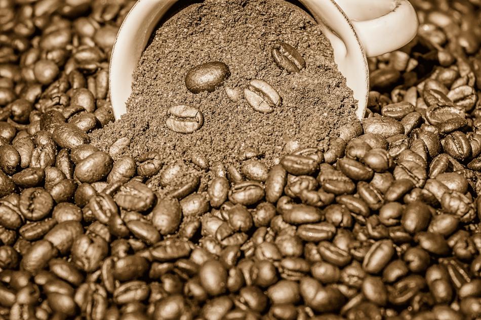 ground Coffee in Cup on pile of beans