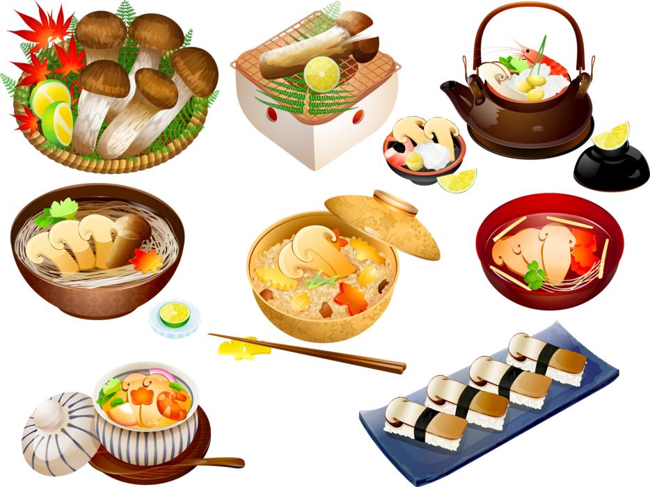variety of japanese food as an illustration on white