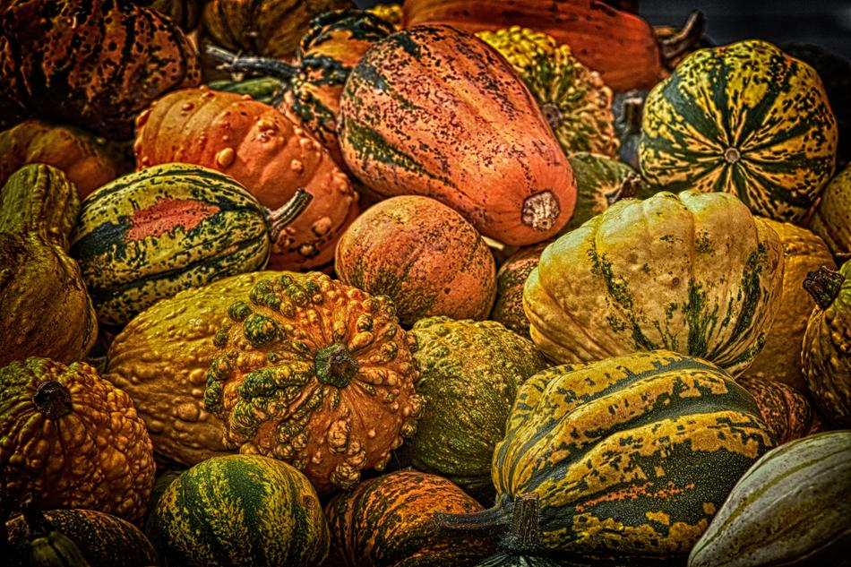 Pumpkins Colorful decoration