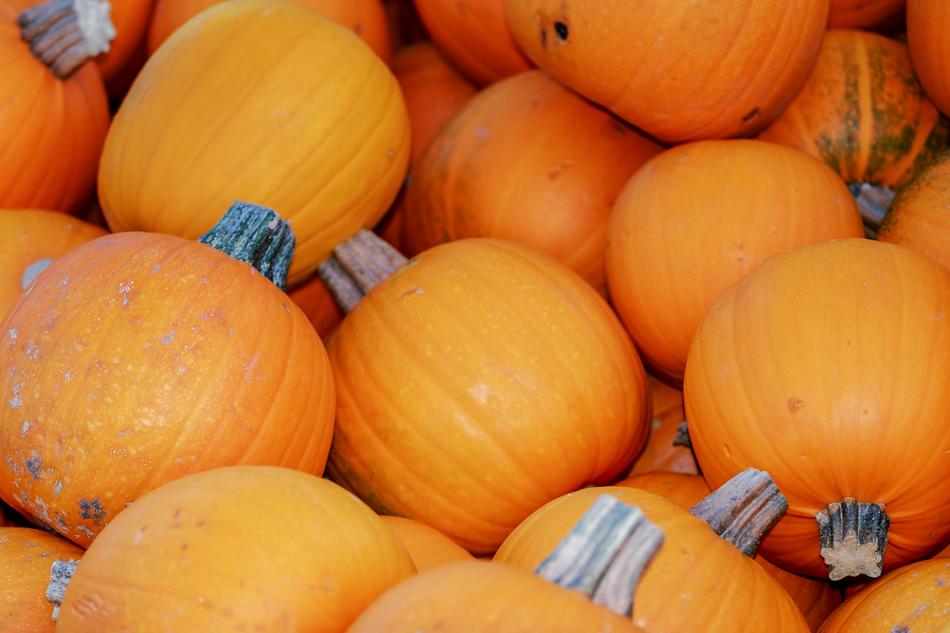 orange round pumpkins