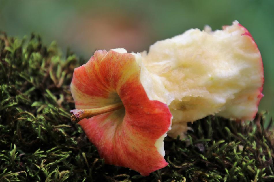 red Fruit Apple