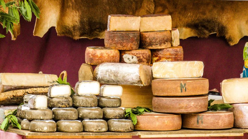 Cheese Sheep