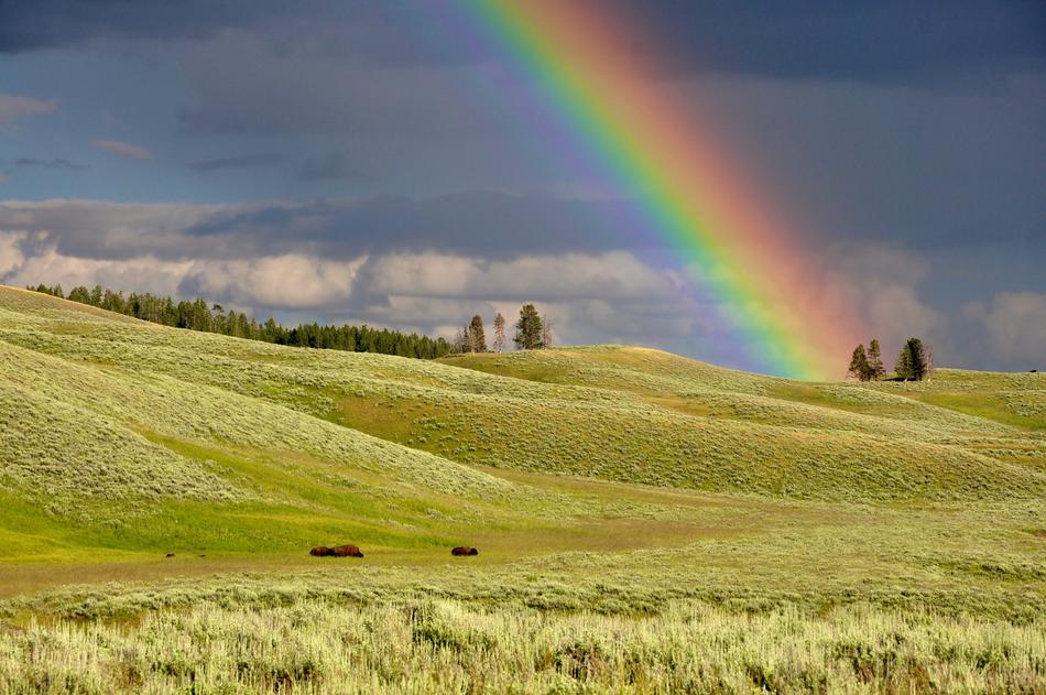 Beautiful and colorful rainbow above the green hills in the countryside