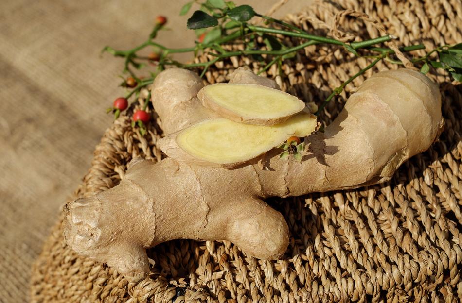 Ginger Ingber
