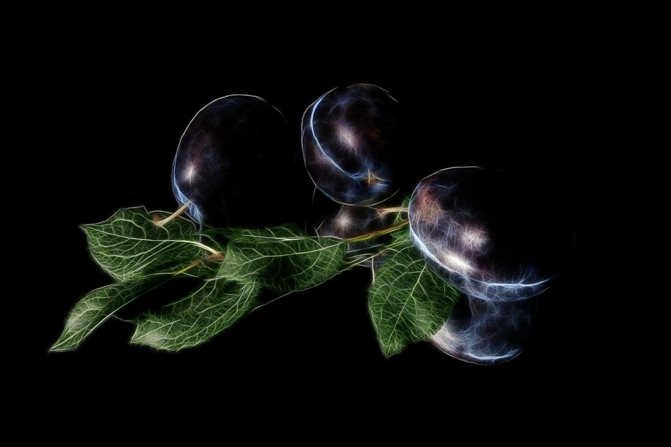 plums photo art fractalius