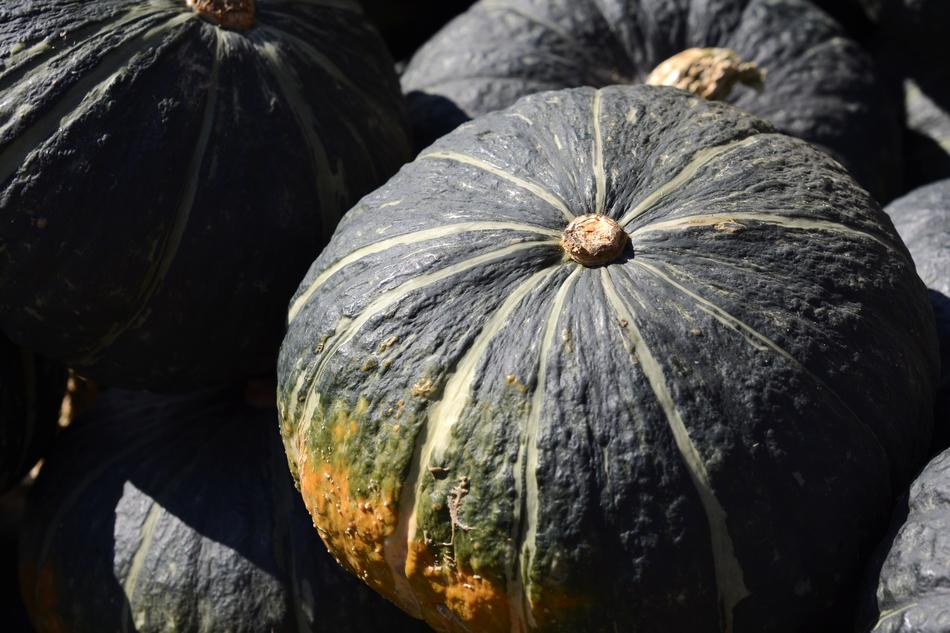 Autumnal Pumpkin Vegetables