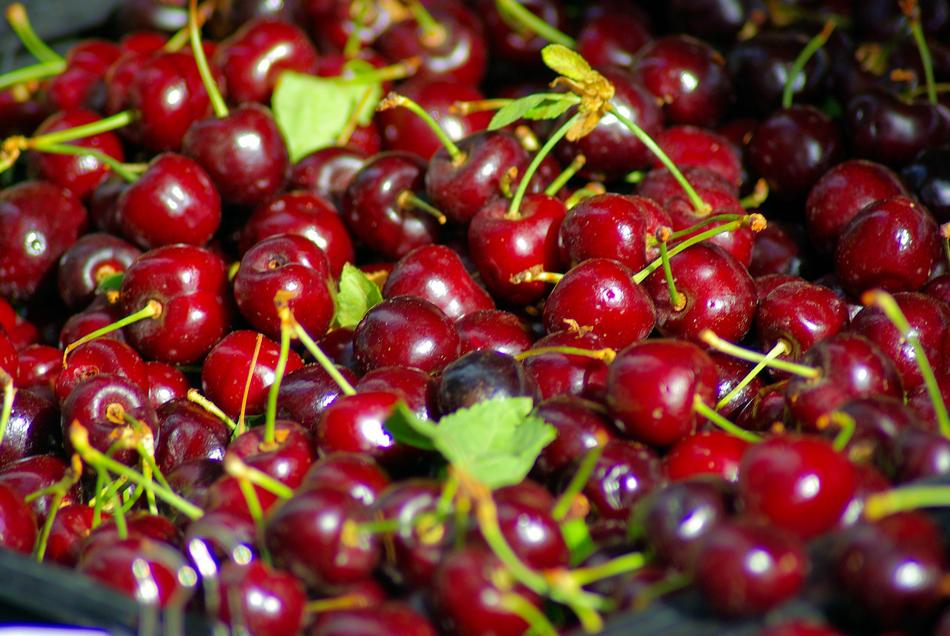 Close-up of the beautiful and colorful, shiny cherries at the town square in Jackson, Wyoming, USA